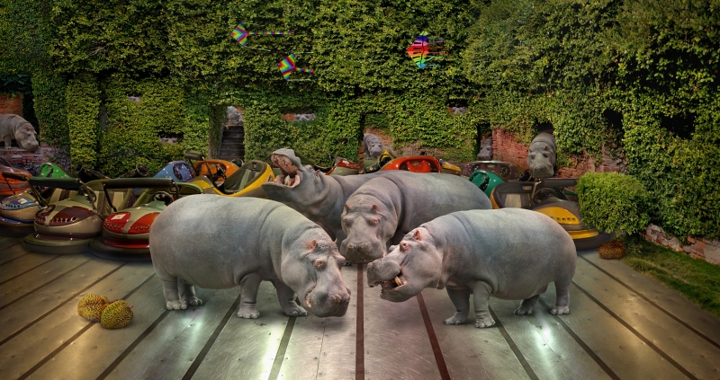 受邀泰國清邁攝影節(CMPF)展出暨參訪計畫 ｜黃建樺｜國藝會補助成果檔案庫